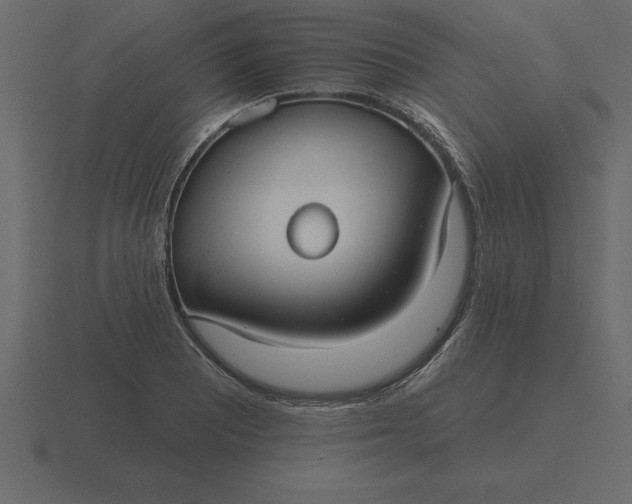 X0000116631081200912241808