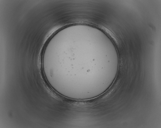 X0000116631082200912241808