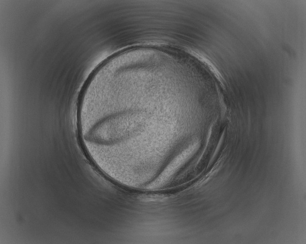 X0000116631083200912241808