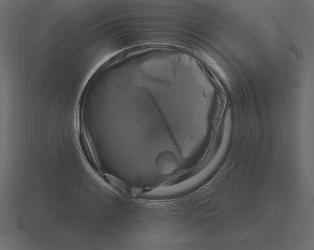 X0000116631084200912241808