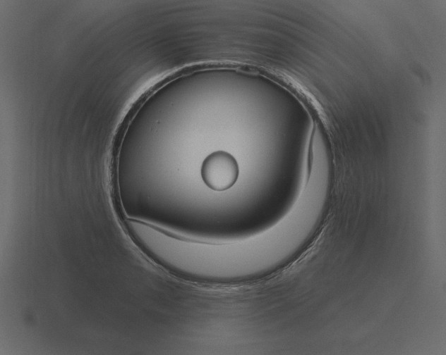 X0000116631085200912241808