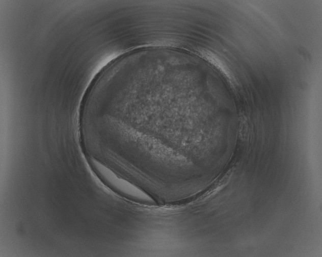 X0000116631087200912241808