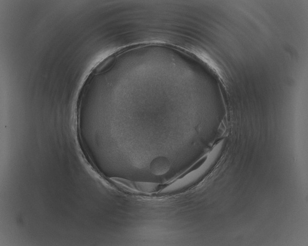 X0000116631088200912241808