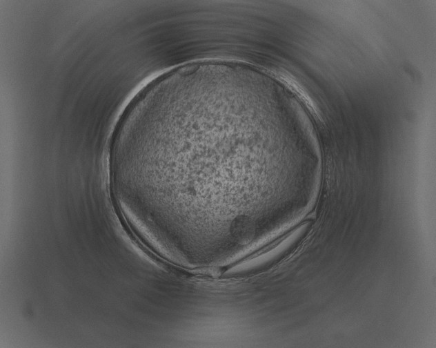 X0000116631092200912241807