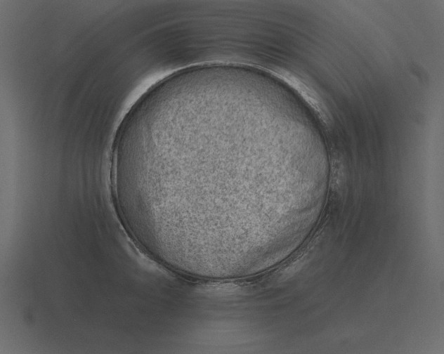 X0000116631094200912241807