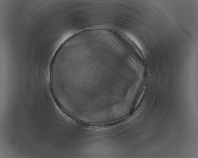 X0000116631095200912241807