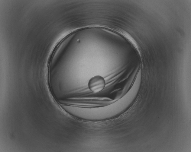 X0000116631096200912241807