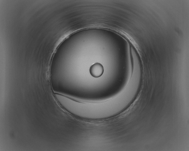 X0000116631097200912241807