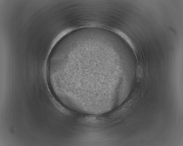 X0000116631098200912241807