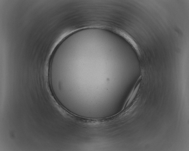 X0000116631099200912241807