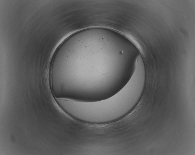 X0000116631100200912241807