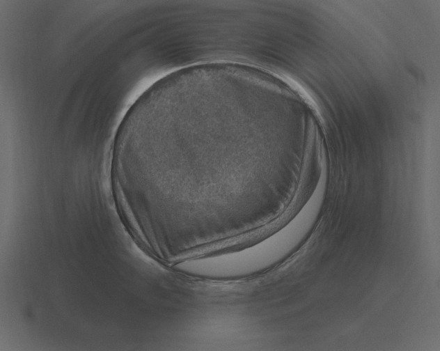 X0000116631102200912241807