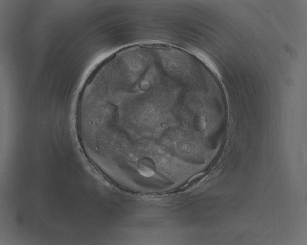 X0000116631104200912241807