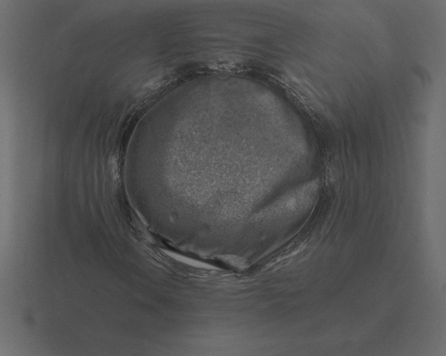 X0000116631106200912241807