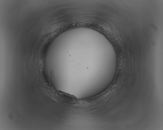 X0000116631109200912241807