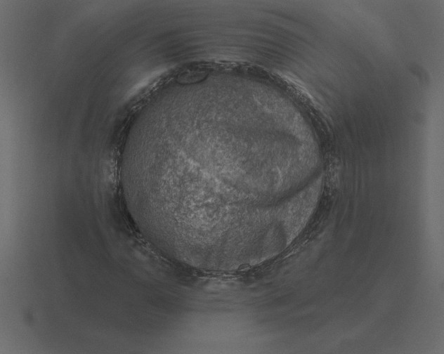 X0000116631110200912241807