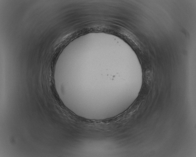 X0000116631111200912241807