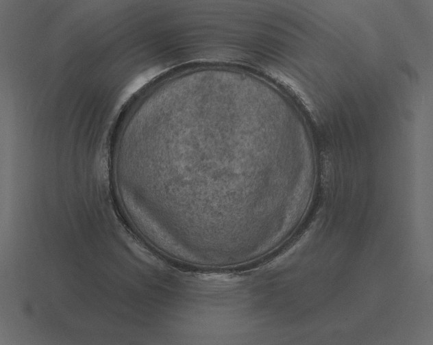 X0000116631114200912241807