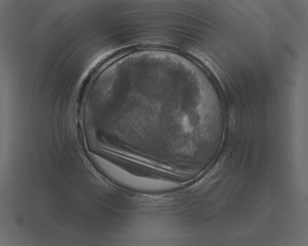 X0000116631115200912241807