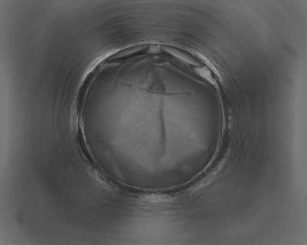 X0000116631117200912241807