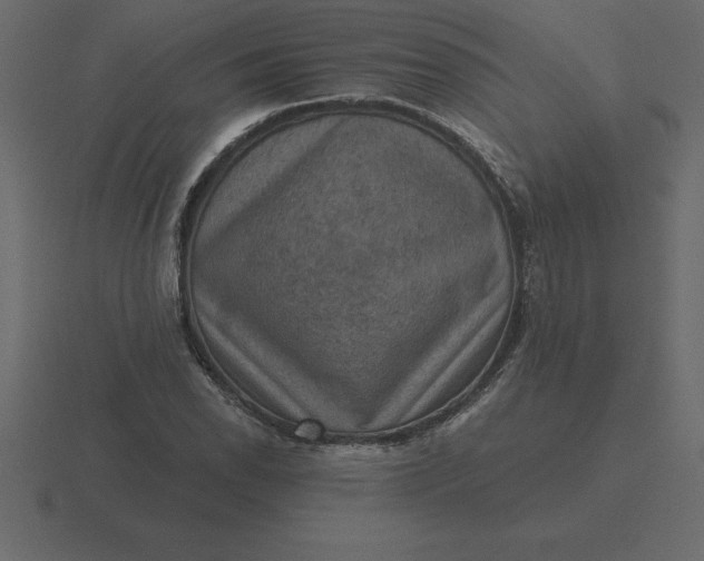 X0000116631118200912241807