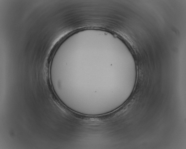 X0000116631119200912241807