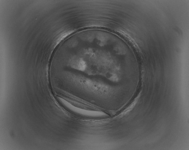 X0000116631121200912241807