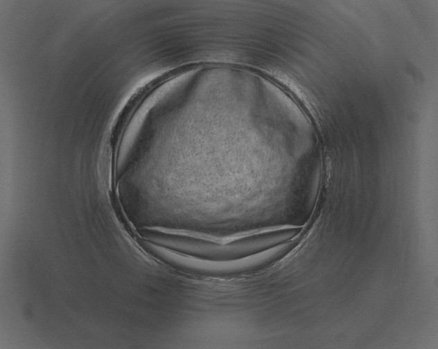 X0000116631123200912241807