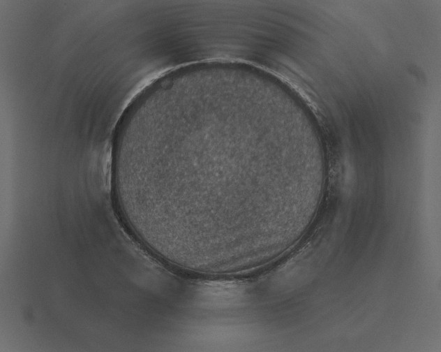 X0000116631126200912241807