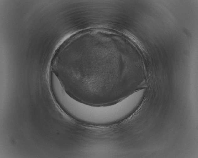 X0000116631127200912241807