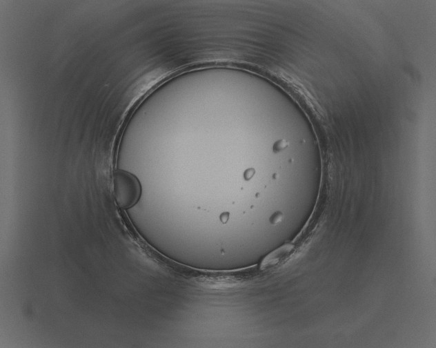 X0000116631129200912241807