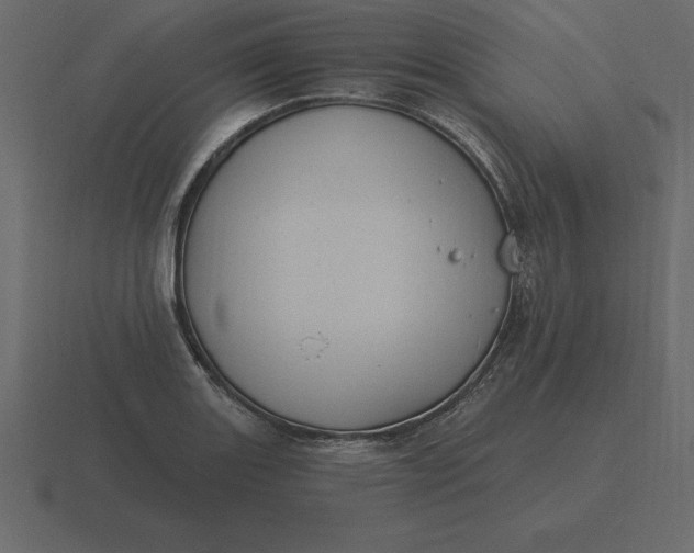 X0000116631131200912241807