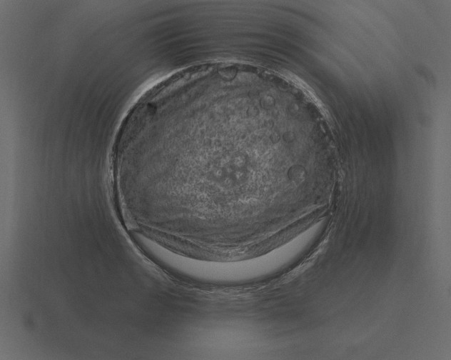 X0000116631133200912241807