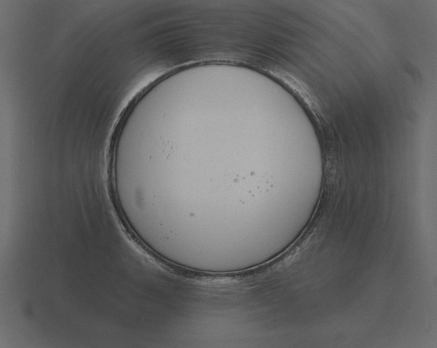 X0000116631135200912241807