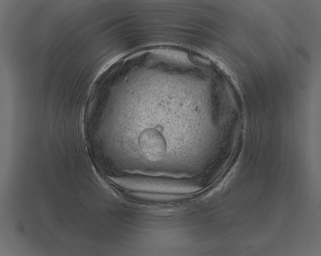 X0000116631137200912241807