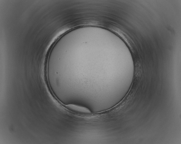 X0000116631139200912241807