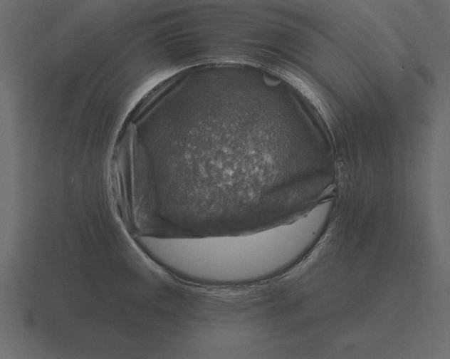 X0000116631141200912241807