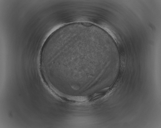 X0000116631142200912241807