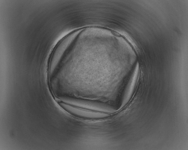 X0000116631143200912241807