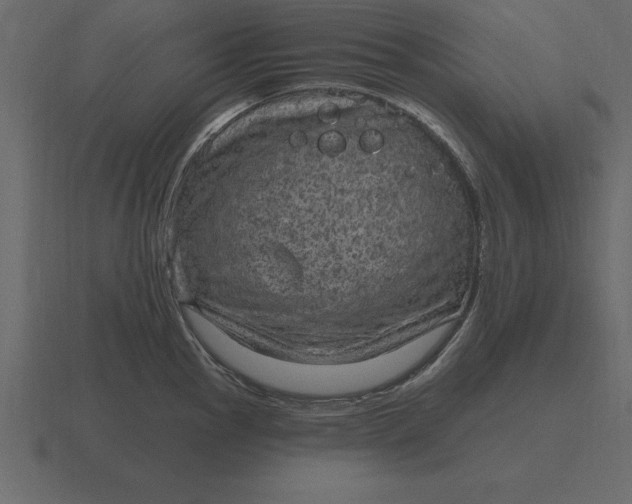 X0000116631145200912241807