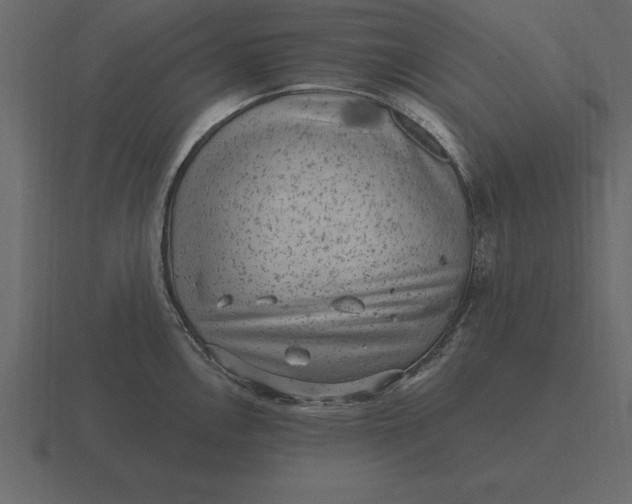 X0000116631146200912241807