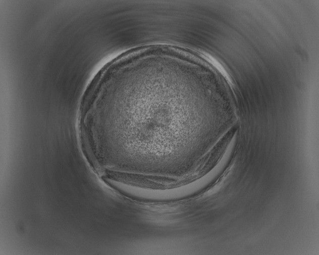 X0000116631149200912241807