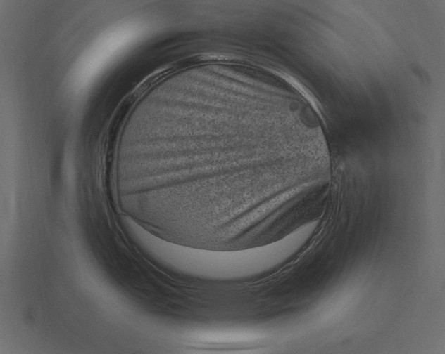 X0000116631151200912241807