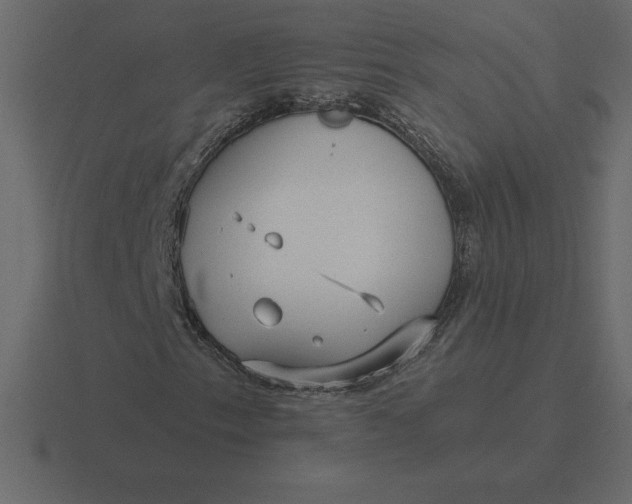 X0000116631153200912241807