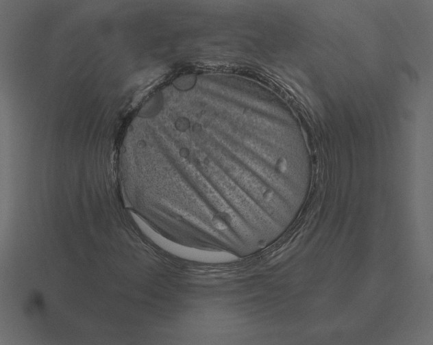 X0000116631156200912241807