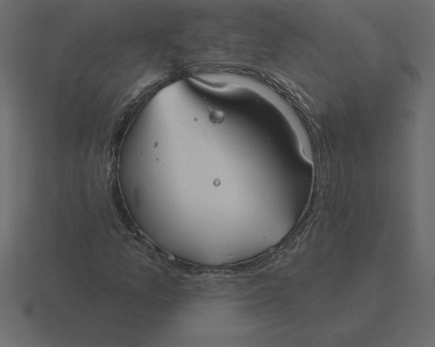 X0000116631157200912241807