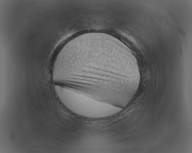 X0000116631160200912241807