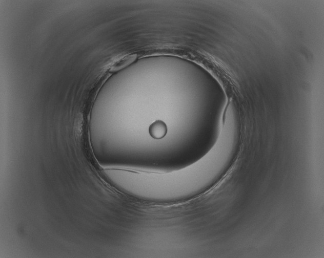 X0000116631161200912241807