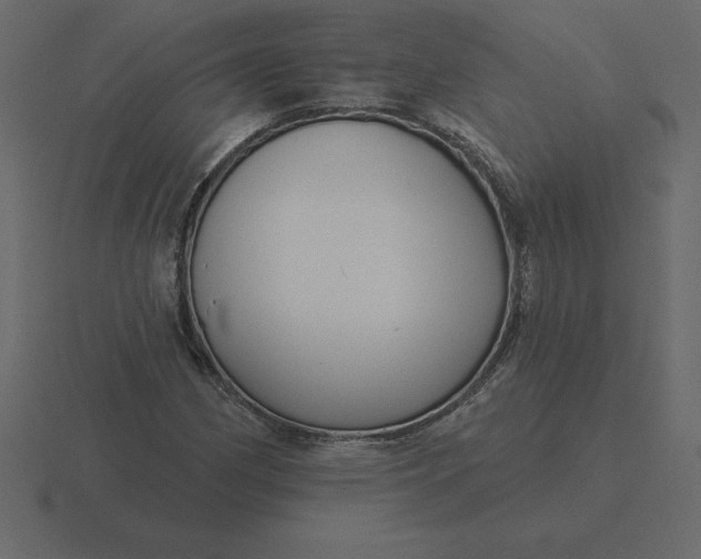 X0000116631162200912241807