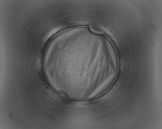 X0000116631163200912241807